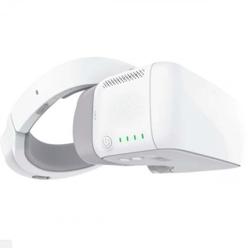 DJI Goggles